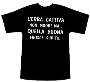 l'erba-cattiva-non